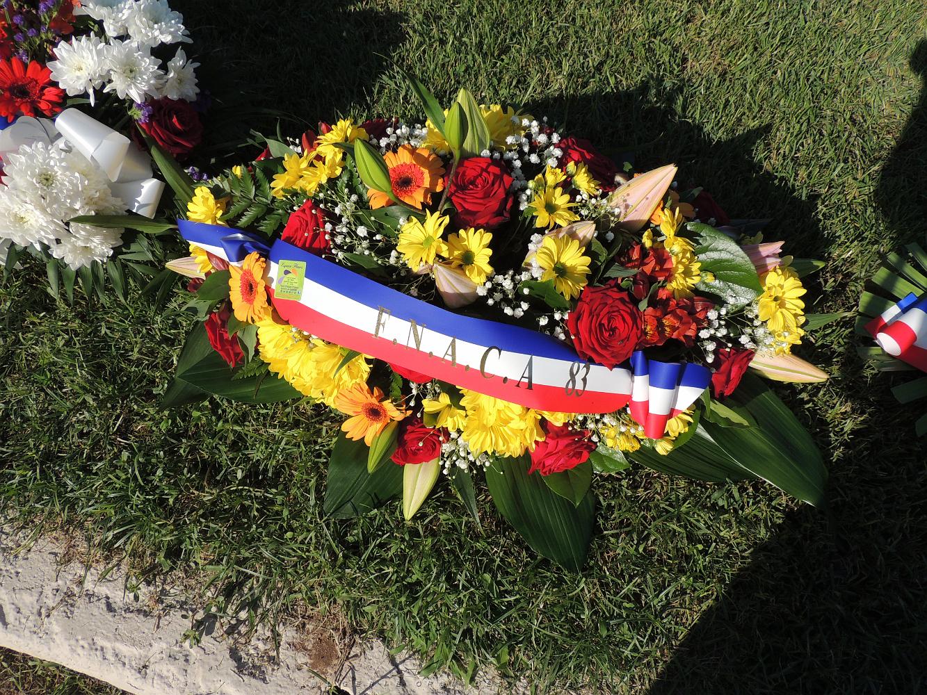 2019 09 25 TOULON HOMMAGE NATIONAL AUX HARKIS ET AUX FORMATIONS SUPPLETIVES  (10).JPG -           
